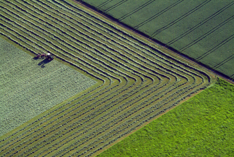 Illustration for article titled The Odd and Mesmerizing Aerial Photos of Klaus Leidorf